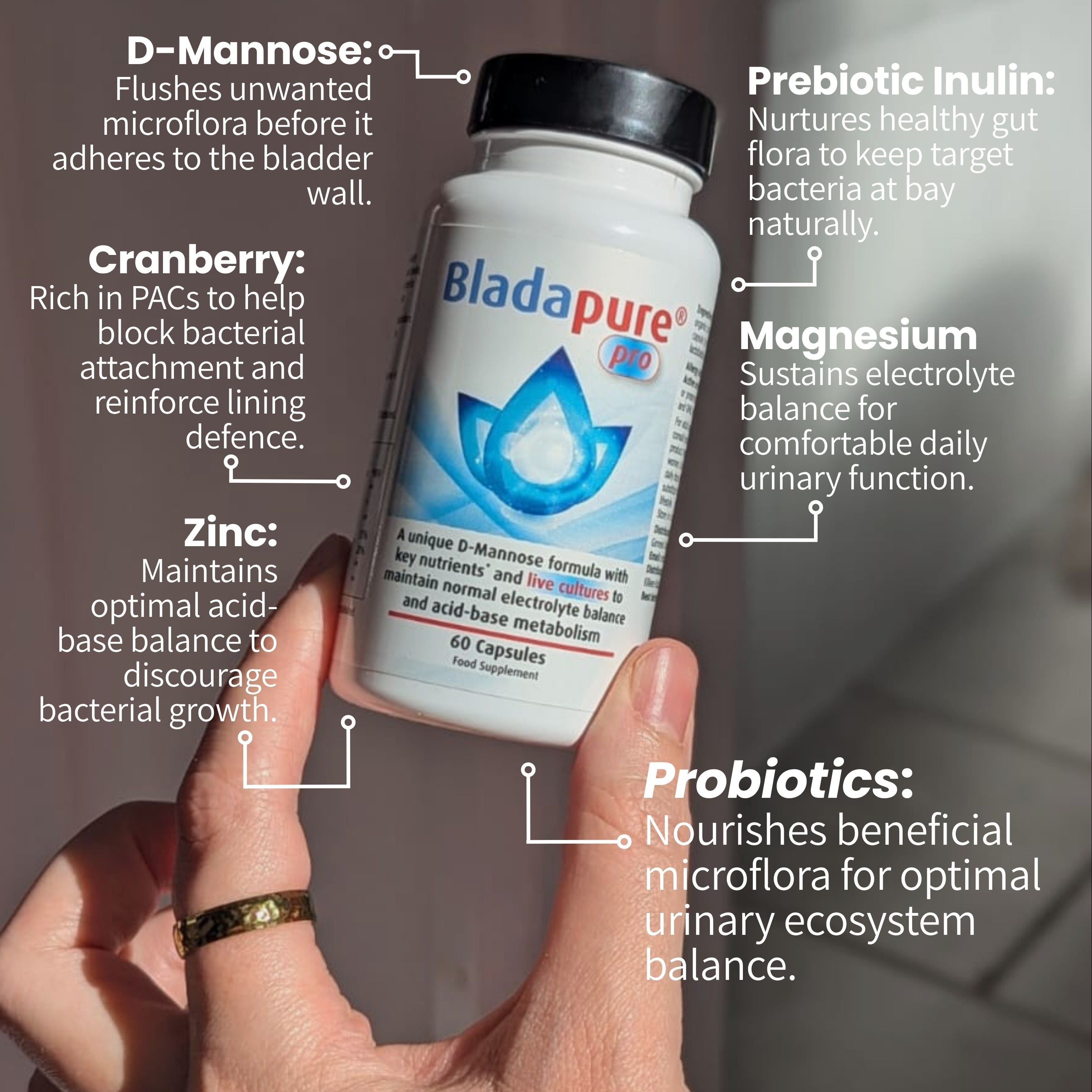 A hand holds a bottle of BladaPure Pro Probiotics against a dark gray background, surrounded by white text callouts detailing ingredients like D-Mannose, cranberry, zinc, prebiotic inulin, and magnesium.